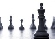 Consulting Services